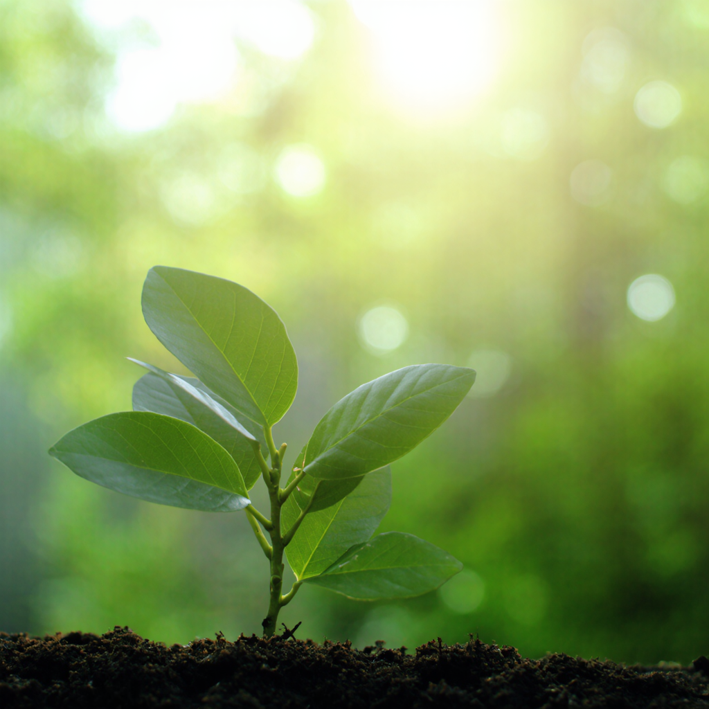 지속가능성 이미지